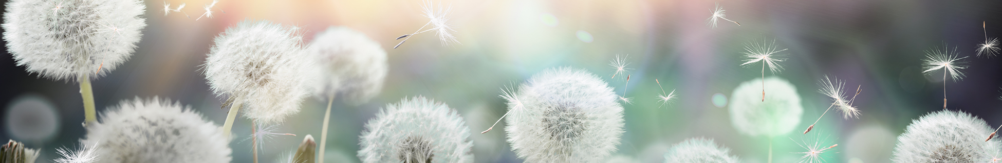 Immune Health